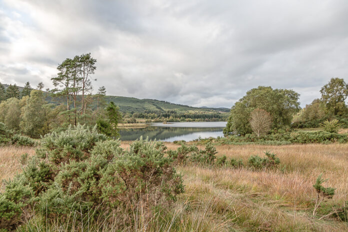 Loch Rusky Glamping