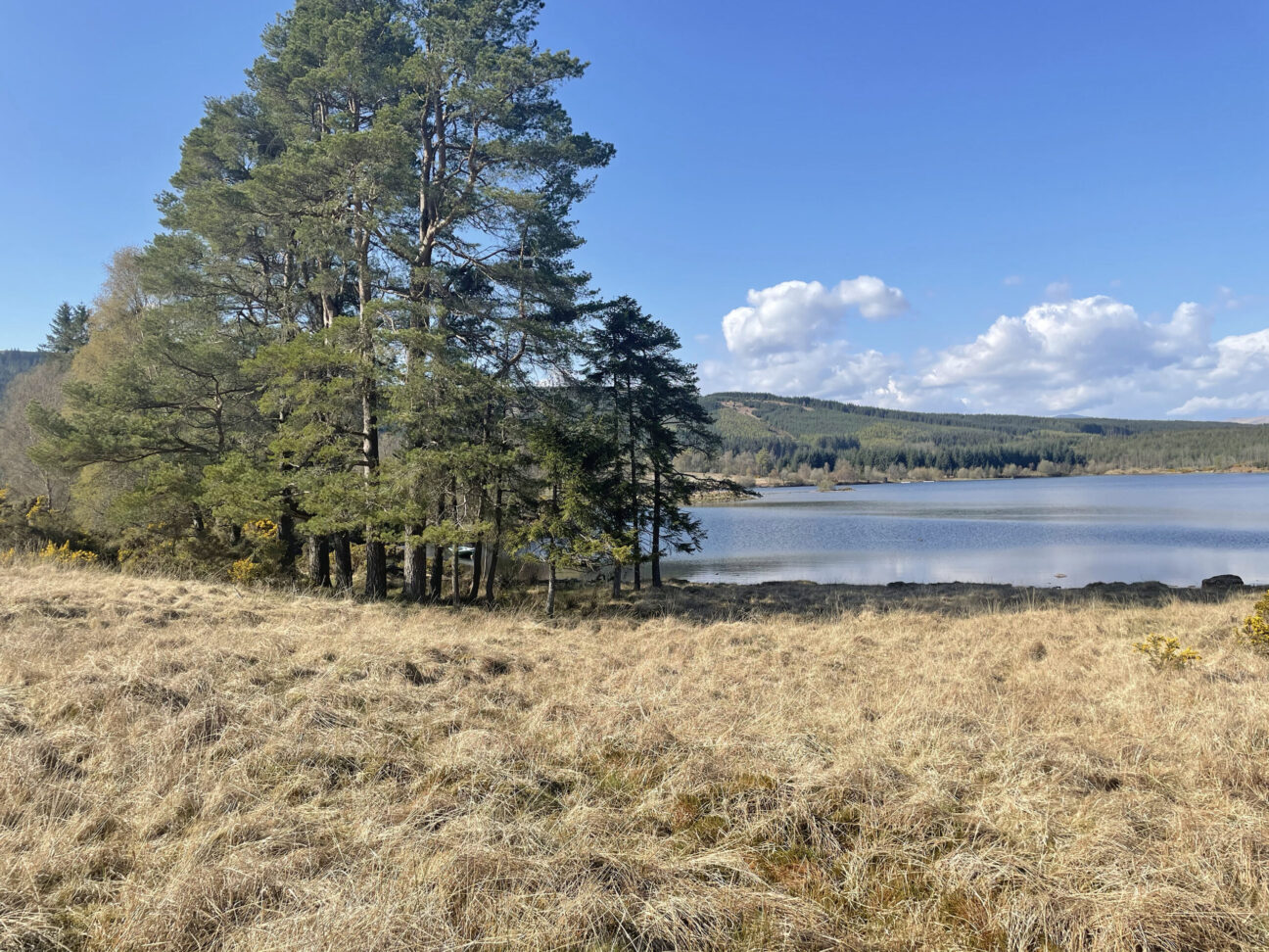 Loch Rusky Glamping