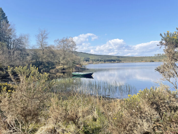 Loch Rusky Glamping