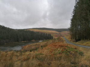 Cambrian Mountains