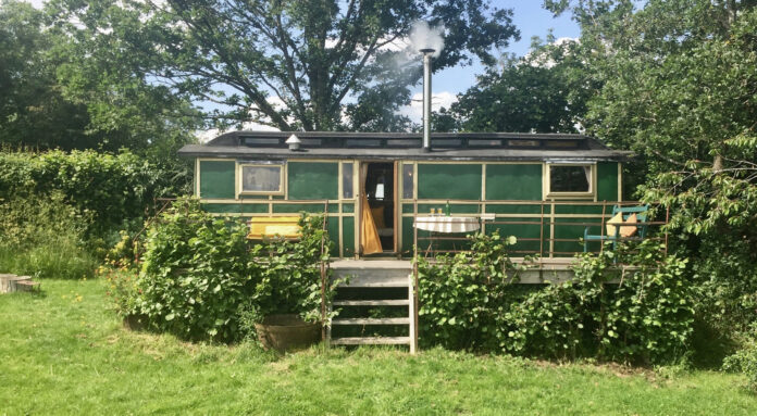 Wildflower Wagon Hereford