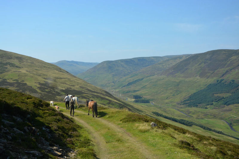 Highland-Pony-Falconry-Experience