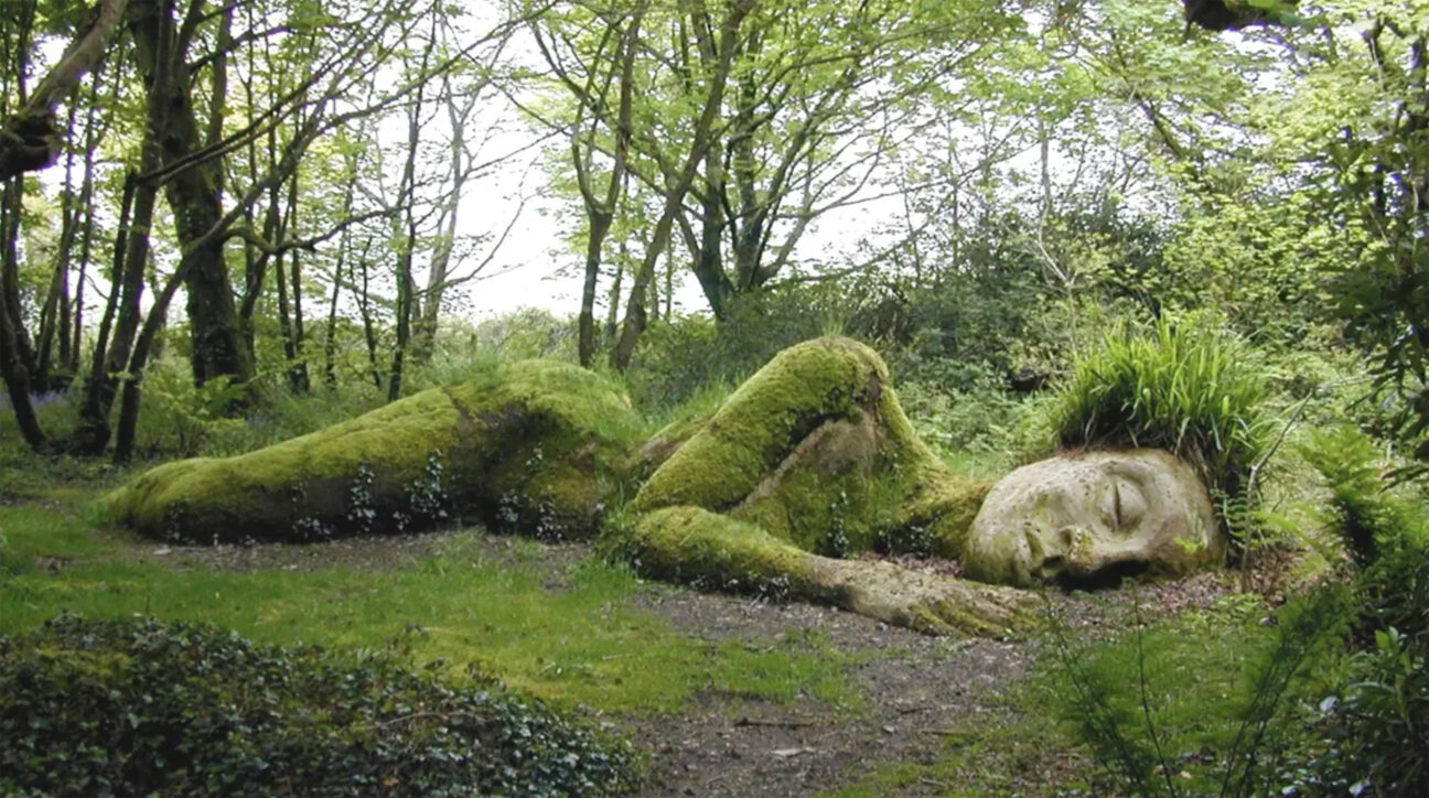 ©Lost Gardens of Heligan