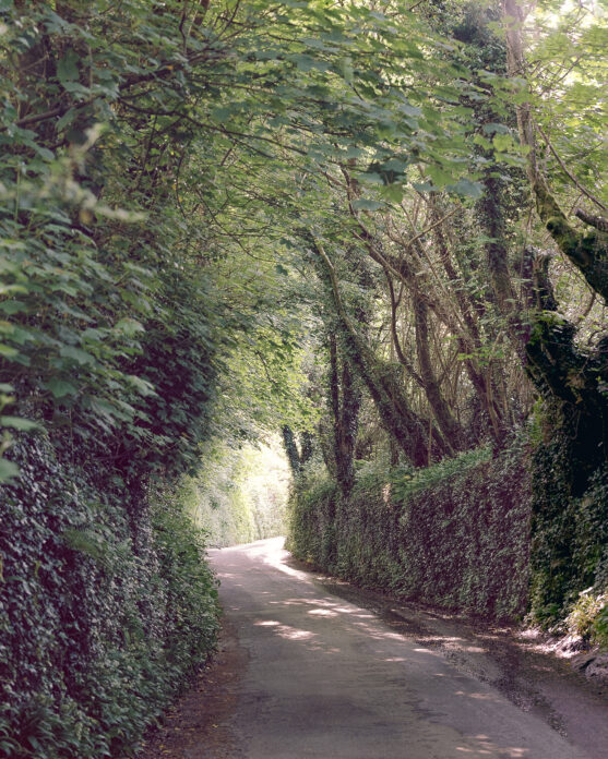 Orchard Cottage, Golant